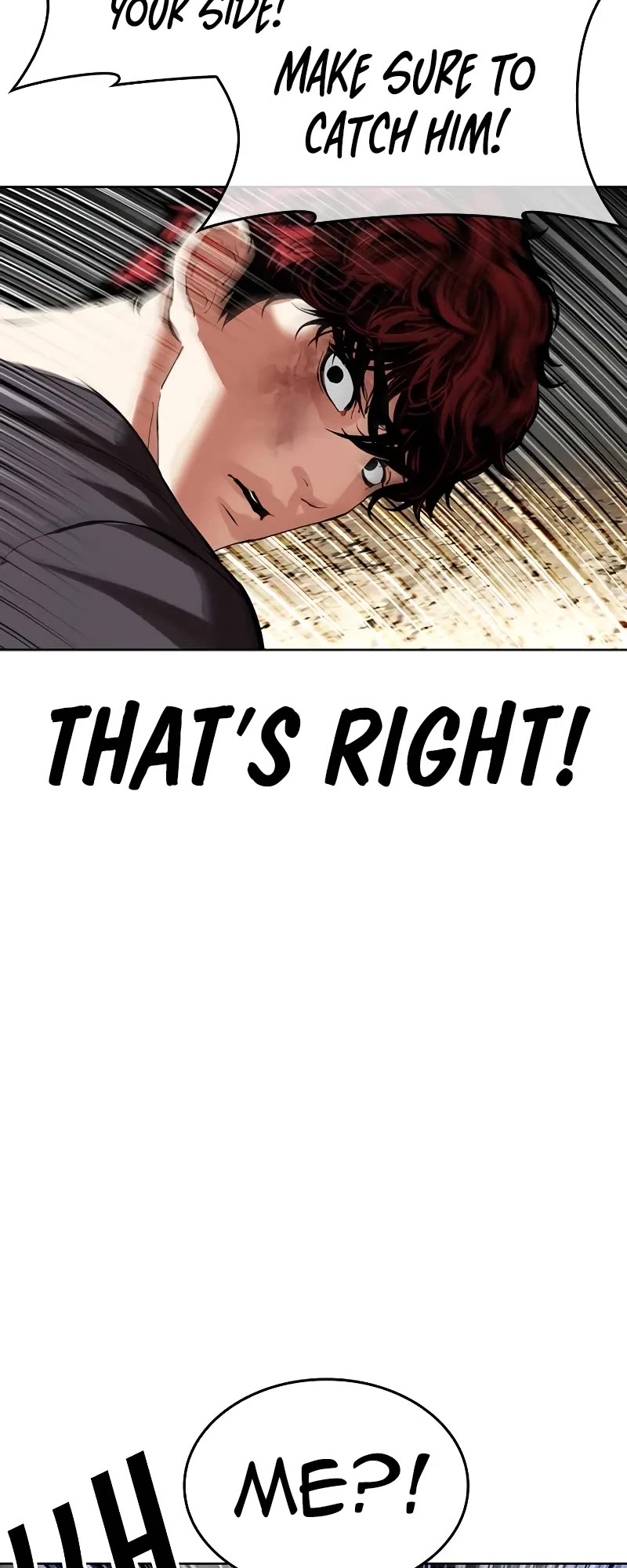 Lookism Chapter 495 page 29 - Chapter 495