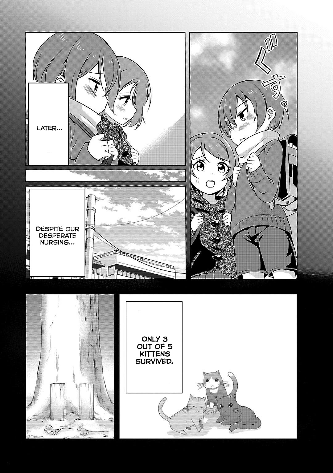Love Live! School Idol Diary Chapter 9 page 37 - Chapter 9: Rin and Kitties.