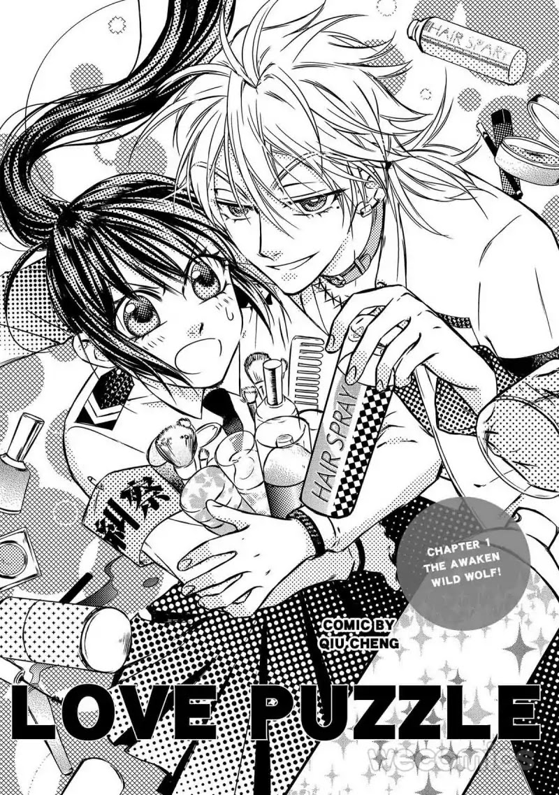 LOVE PUZZLE Chapter 1 page 1 - Chapter 1