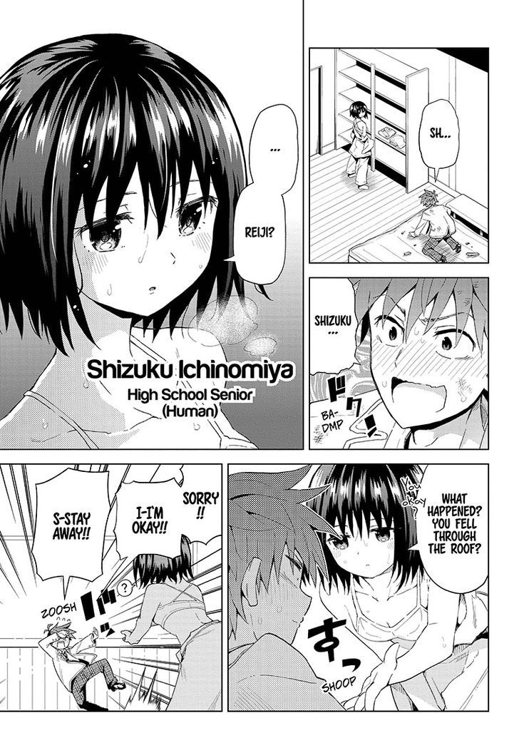 Love Rush! (Yamamoto Ryohei) Chapter 1 page 23 - Chapter 1