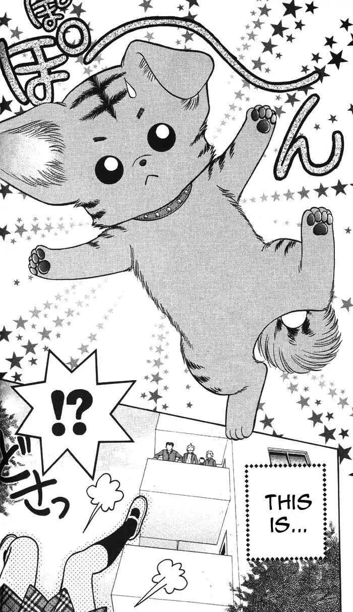 Love Wan! Chapter 1.2 page 24 - Chapter 1.2