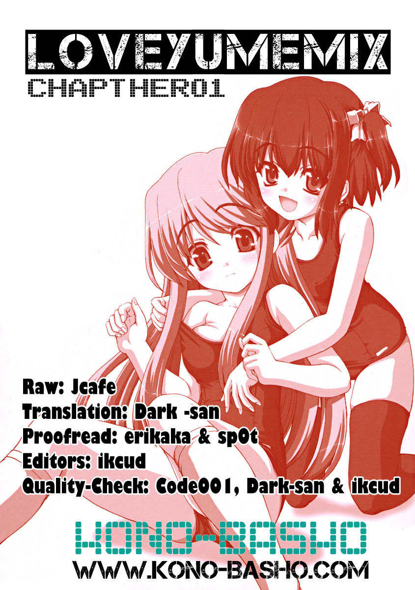 Love Yume Mix Chapter 1 page 25 - Chapter 1: The Beginning Of A Dream Life