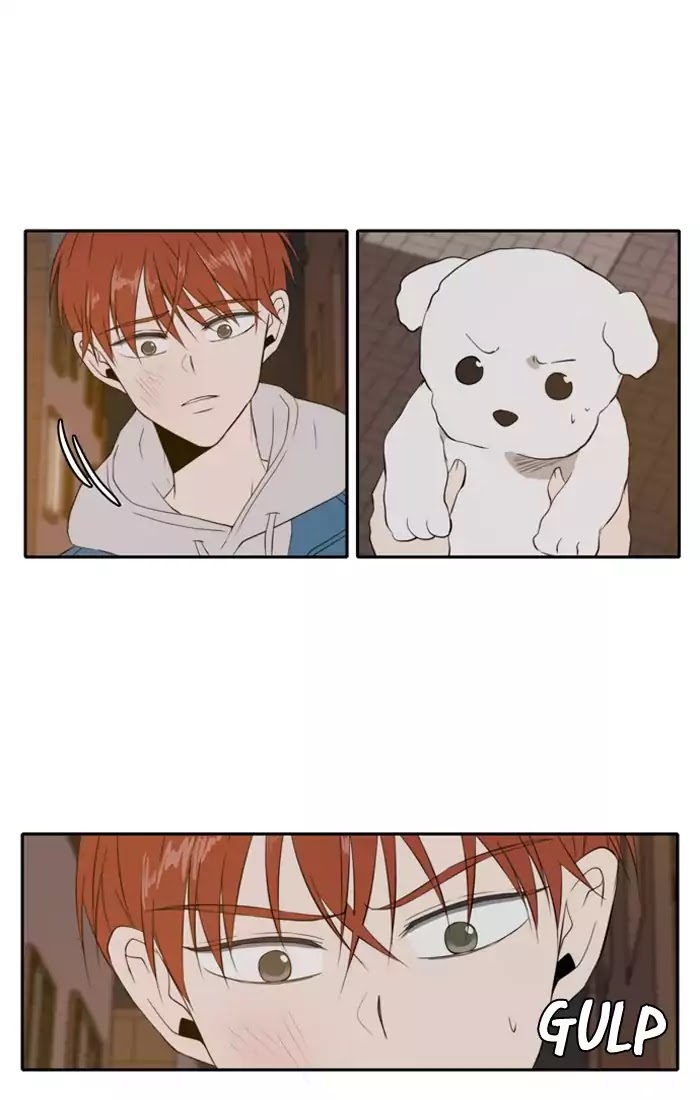 Lovely Again Today Chapter 11 page 14 - Chapter 11