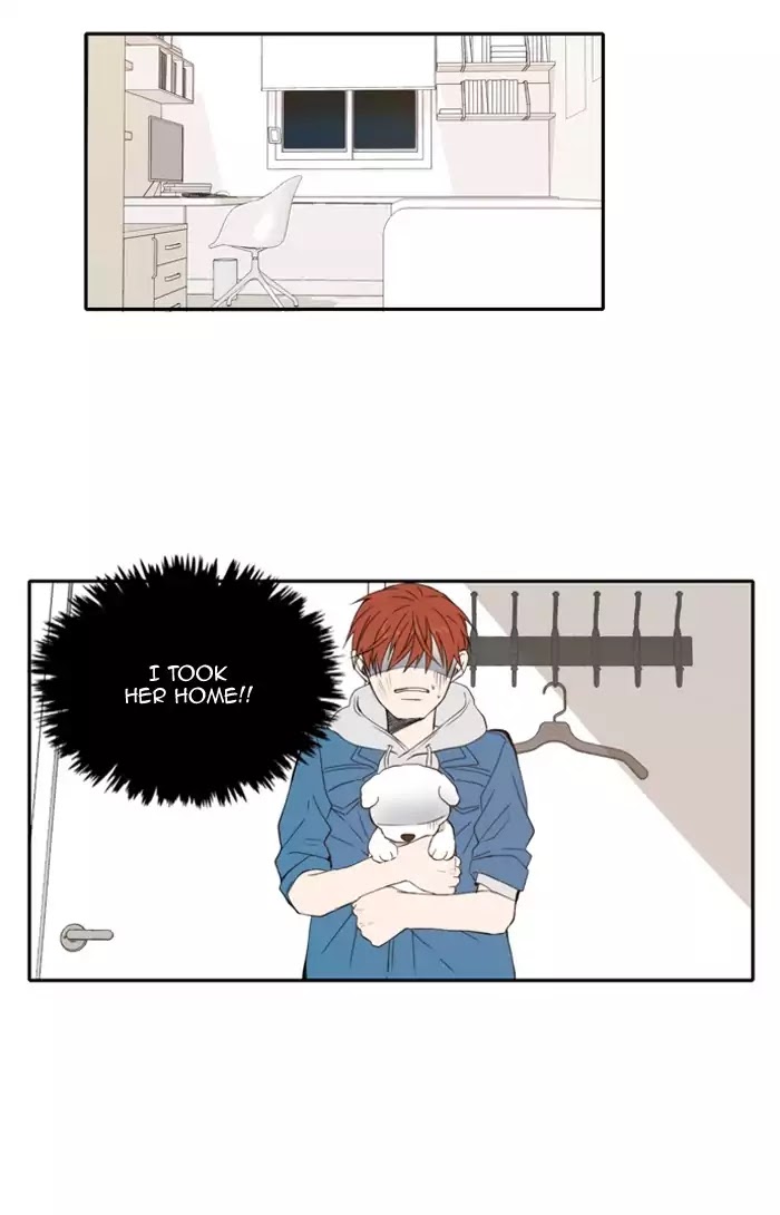 Lovely Again Today Chapter 11 page 16 - Chapter 11