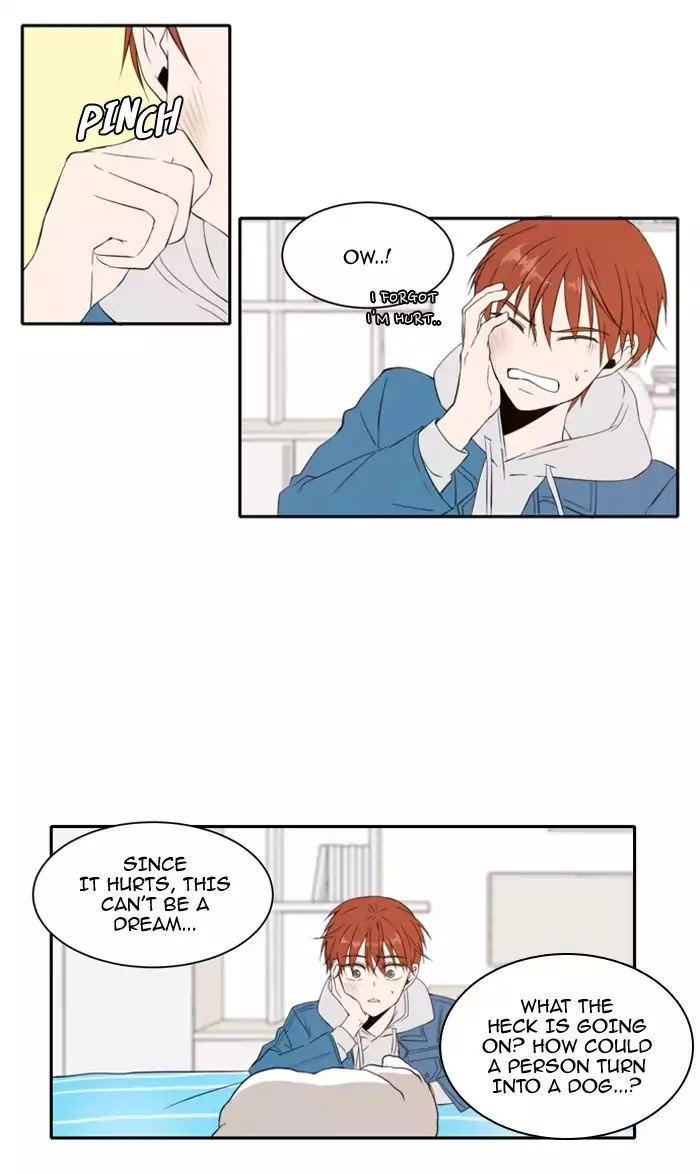 Lovely Again Today Chapter 11 page 28 - Chapter 11