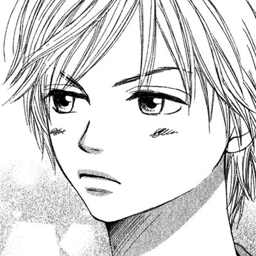 Lovely Complex Chapter 33 cover