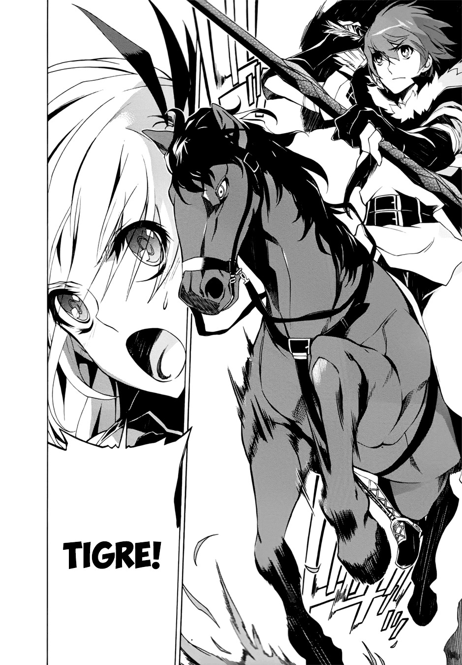 Madan no Ou to Vanadis Chapter 27 page 25 - Chapter 27 : Black Knight vs Vandadis