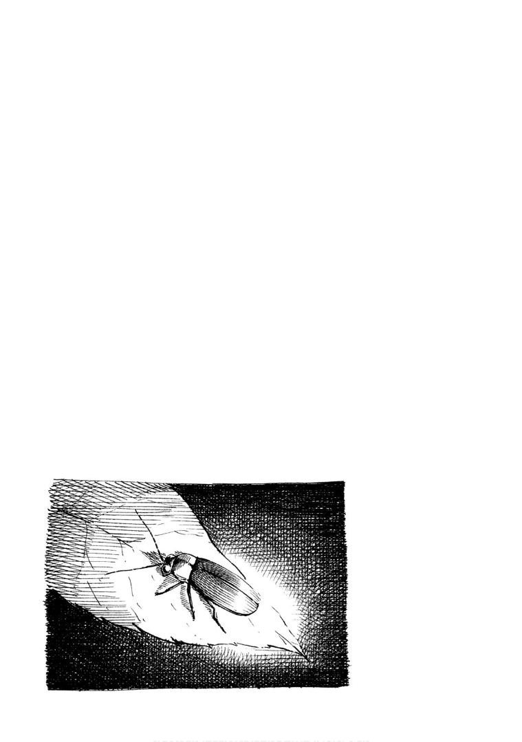 Mado kara Madoka-chan Chapter 69 page 10 - Chapter 69: Madoka-chan's mountain stream fishing
