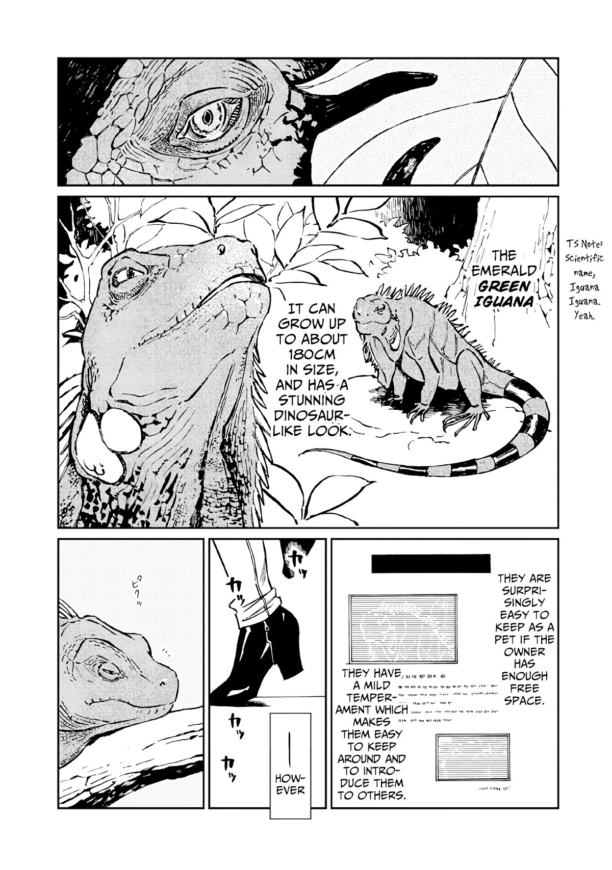 Madonna ga Glass Case no Naka Chapter 12 page 3 - Chapter 12: Walls
