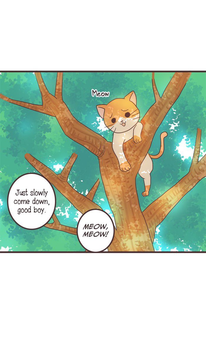 Mafia's Daughter: Operation Makeover Chapter 23 page 18 - Chapter 23 : Lion & Rabbit