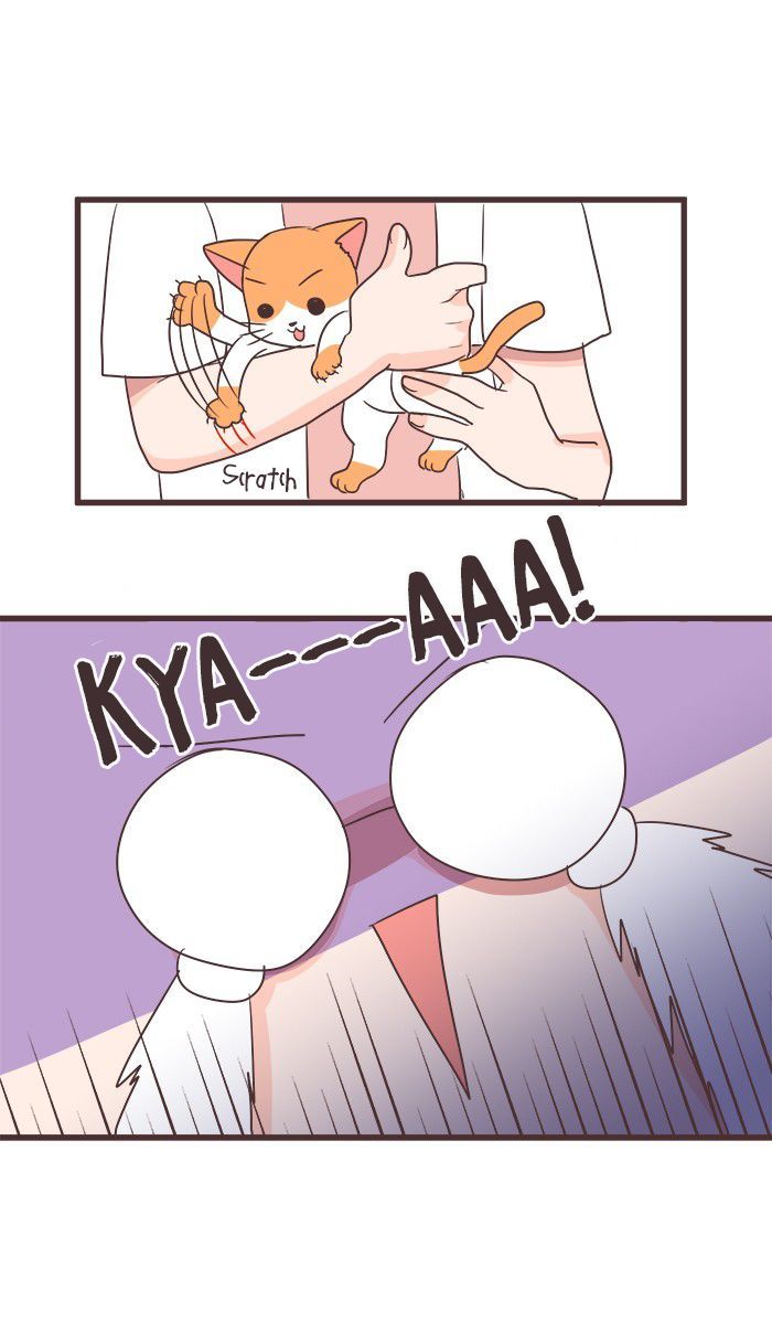 Mafia's Daughter: Operation Makeover Chapter 23 page 20 - Chapter 23 : Lion & Rabbit