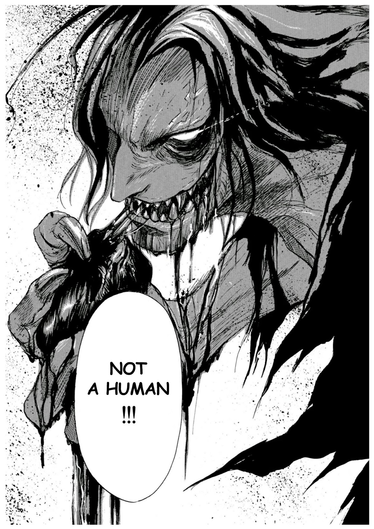 Magamagashiki Kemono no Yuku Hate wa Chapter 1.1-2 page 25 - Chapter 1-1 v2 : Wedge Of Silver Part 1