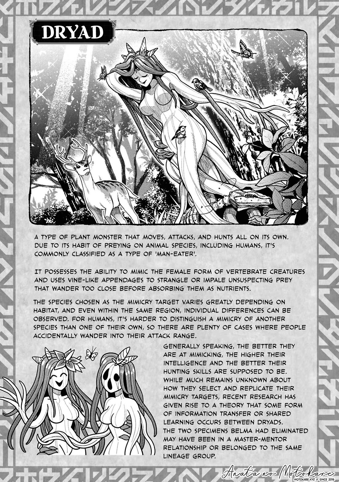 Magic Doctor Rex’s Perverted Medical Record Chapter 21.5 page 1 - Chapter 21.5: About the Dryads