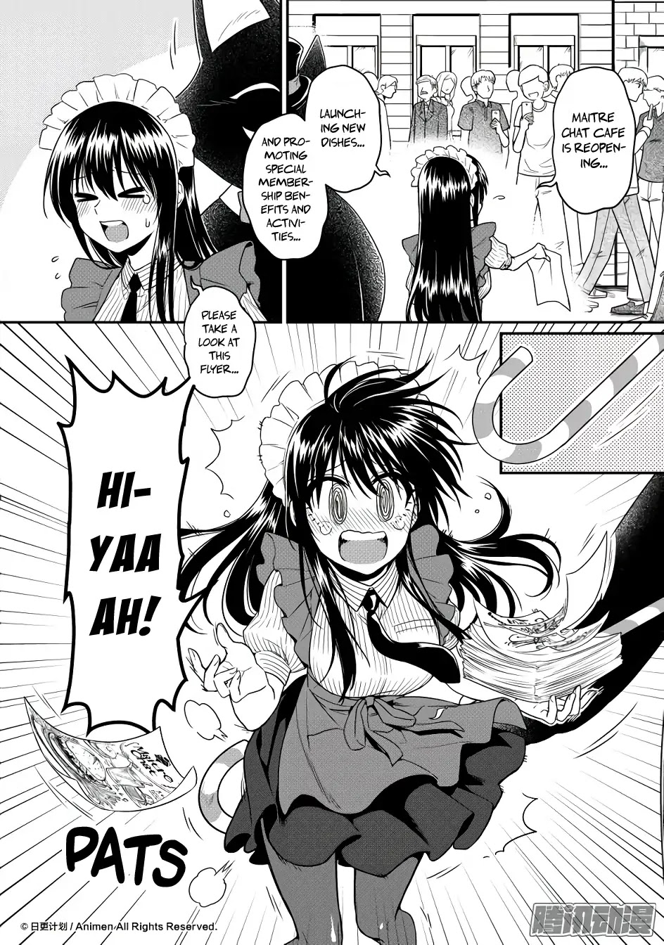 Magic Marriage Chapter 15.1 page 3 - Chapter 15.1: Working!