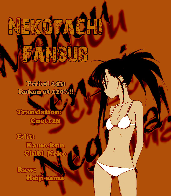 Mahou Sensei Negima! Chapter 243 page 1 - Chapter 243: Rakan, 120%!!