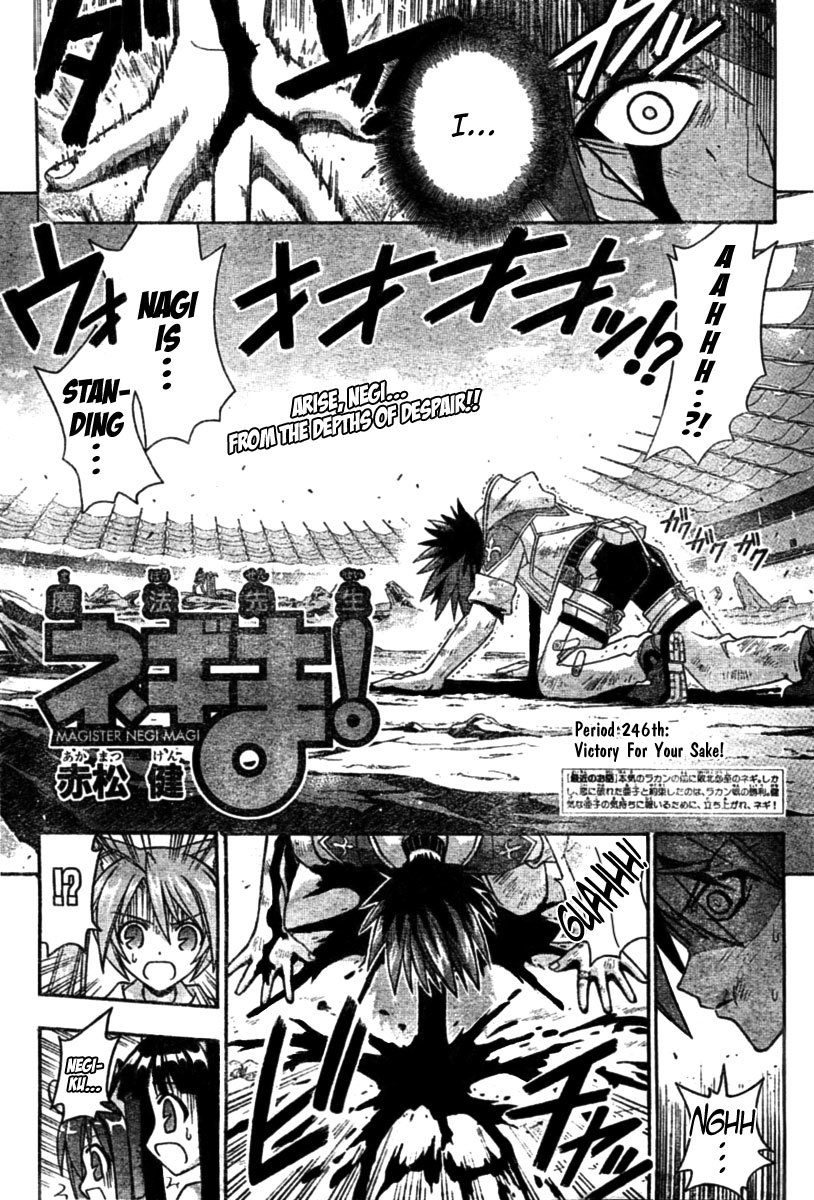 Mahou Sensei Negima! Chapter 246 page 2 - Chapter 246: Victory for Your Sake!