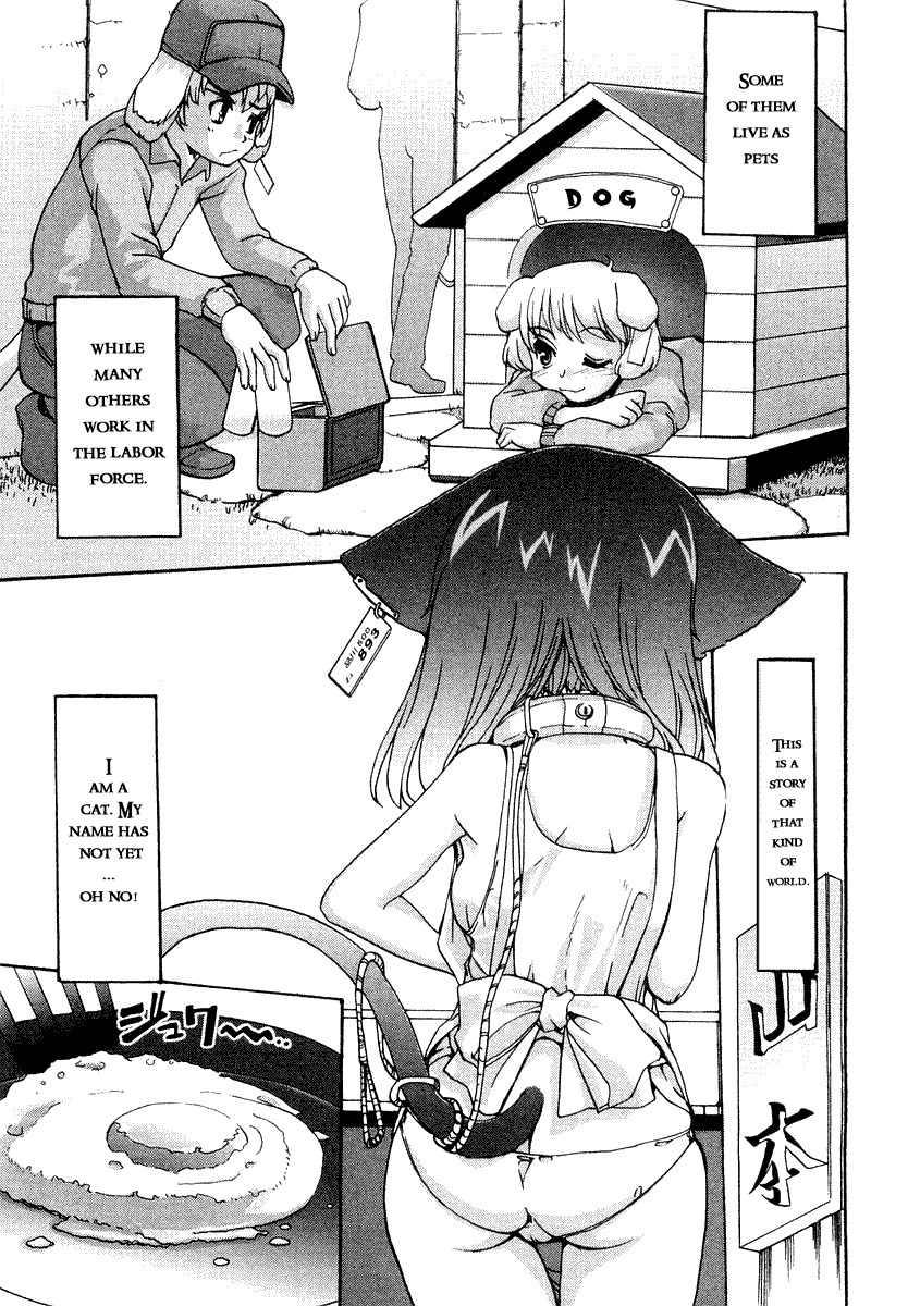 Mahou Shoujo Neko X Chapter 1 page 11 - Chapter 1: Mahou Shoujo Neko X Release