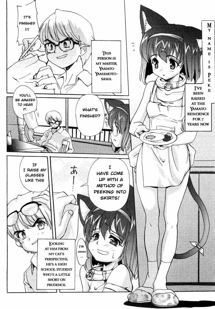 Mahou Shoujo Neko X Chapter 1 page 12 - Chapter 1: Mahou Shoujo Neko X Release