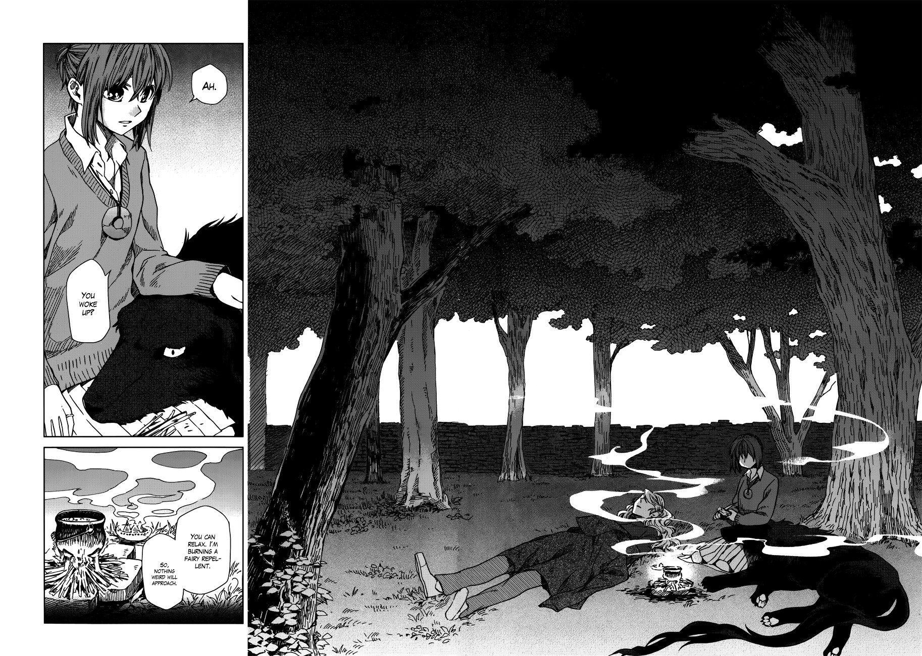 Mahou Tsukai no Yome Chapter 10 page 13 - Chapter 10 : Talk of the Devil, and He Is Sure to Appear