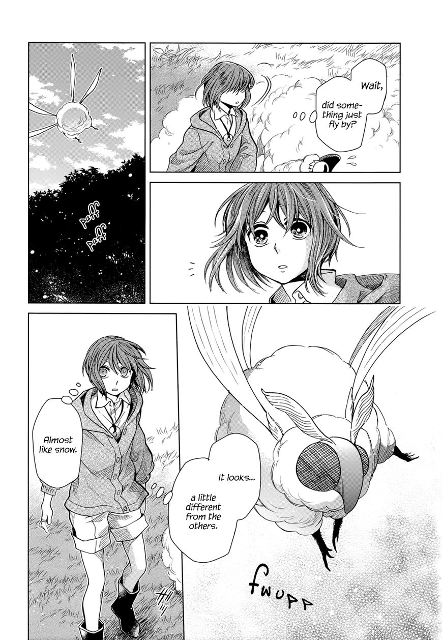 Mahou Tsukai no Yome Chapter 19 page 12 - Chapter 19 : It is a long lane that has no turning.