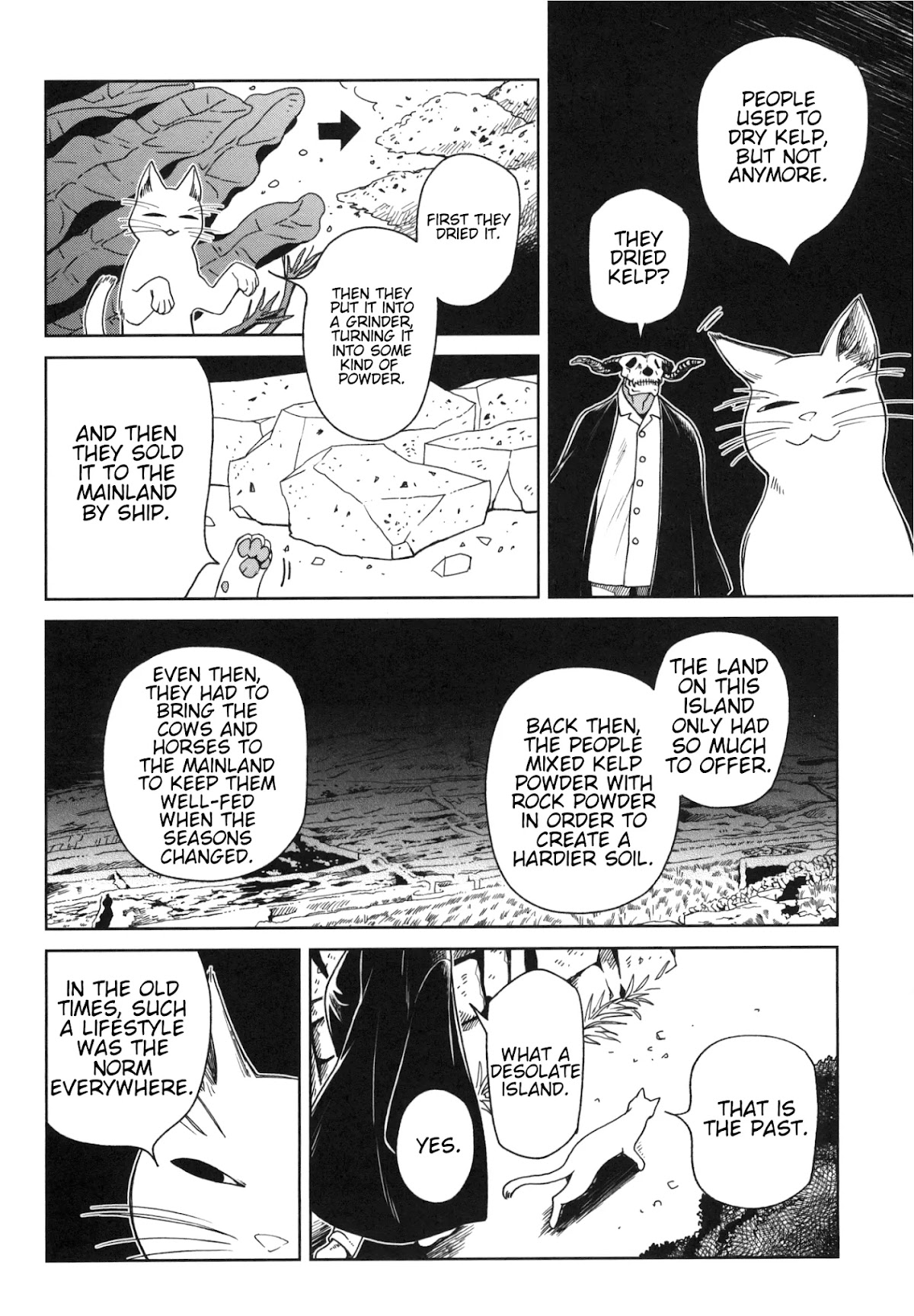 Mahou Tsukai no Yome Chapter 78.5 page 17 - Chapter 78.5