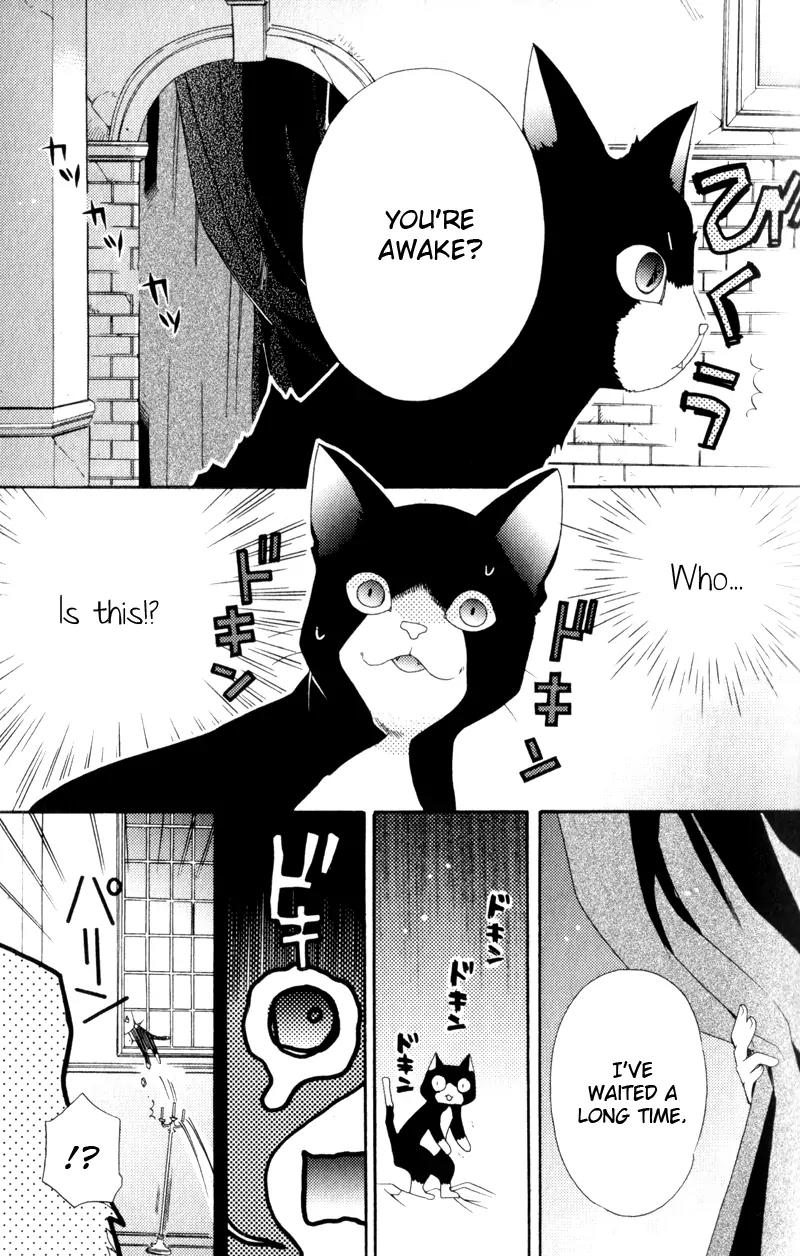Mahoutsukai no Neko Chapter 1 page 24 - Chapter 1