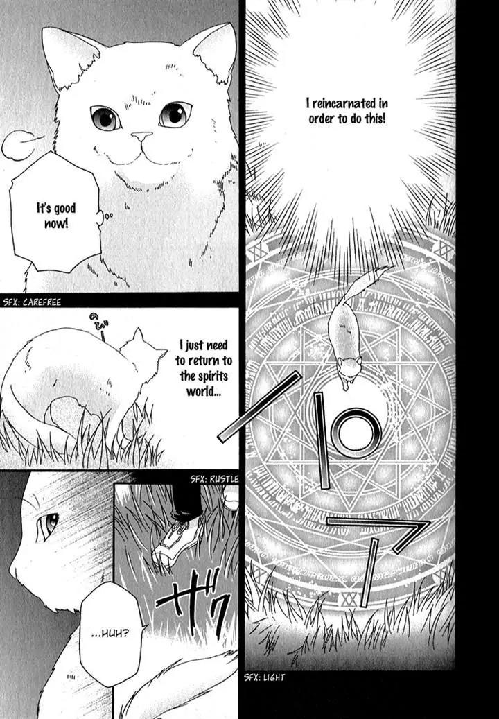 Mahoutsukai no Neko Chapter 32 page 11 - Chapter 32