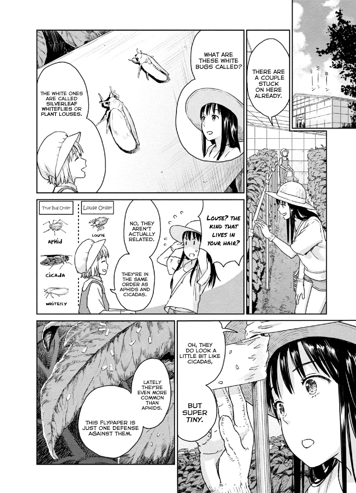 Mai no Mushigurashi Chapter 15 page 4 - Chapter 15: Silverleaf Bushbrown