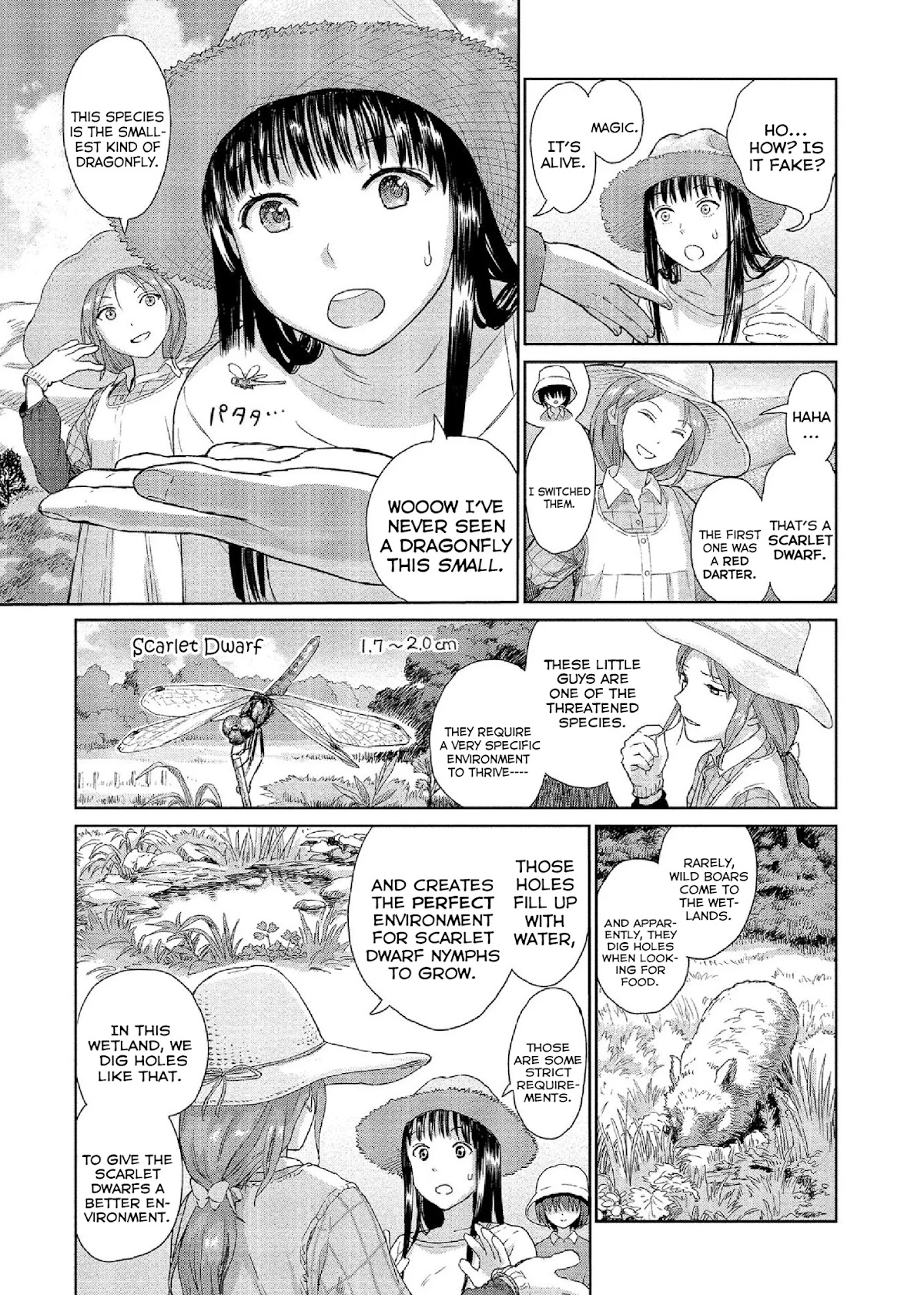 Mai no Mushigurashi Chapter 17 page 5 - Chapter 17: Scarlet Dwarf
