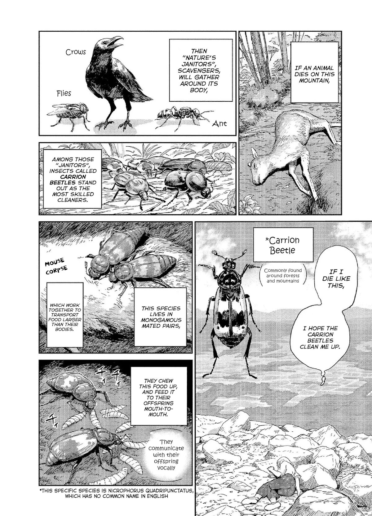 Mai no Mushigurashi Chapter 25 page 6 - Chapter 25: Carrion Beetle