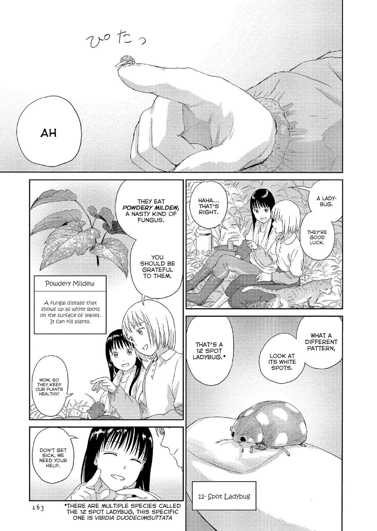 Mai no Mushigurashi Chapter 34 page 3 - Chapter 34: Spot Ladybug [END]