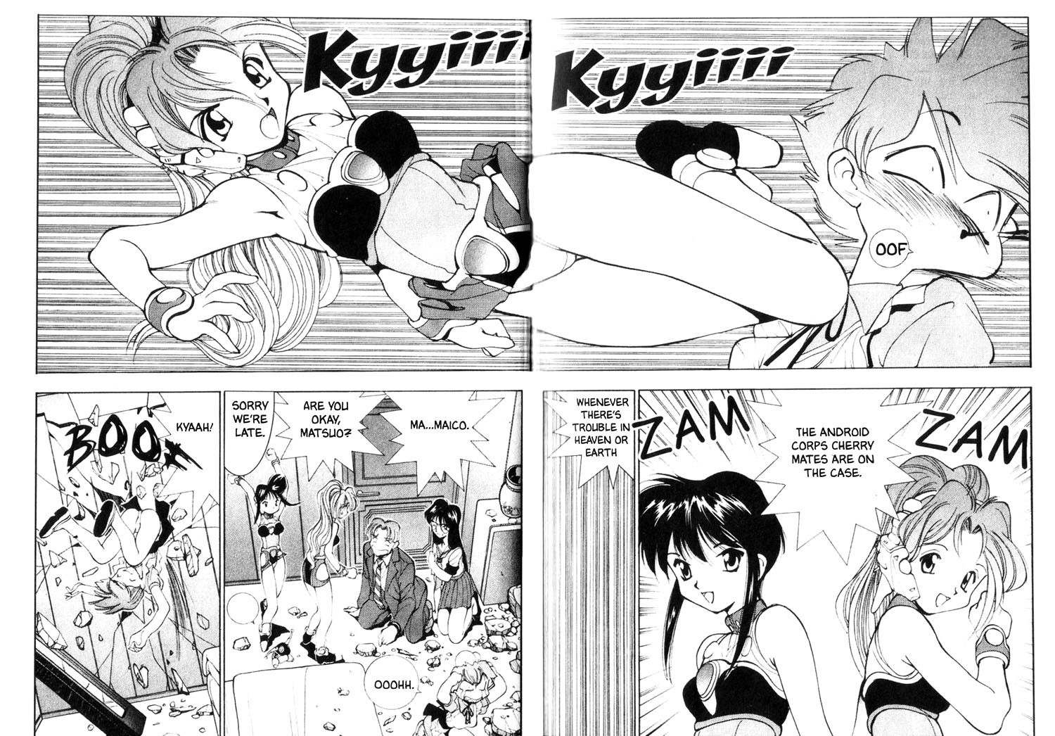 Maico 2010 Chapter 24 page 8 - Chapter 24