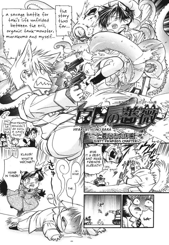 Maiden Rose Chapter 11.1 page 5 - Chapter 11.1