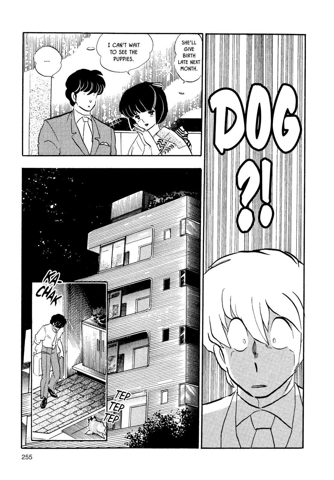 Maison Ikkoku Chapter 141 page 17 - Chapter 141
