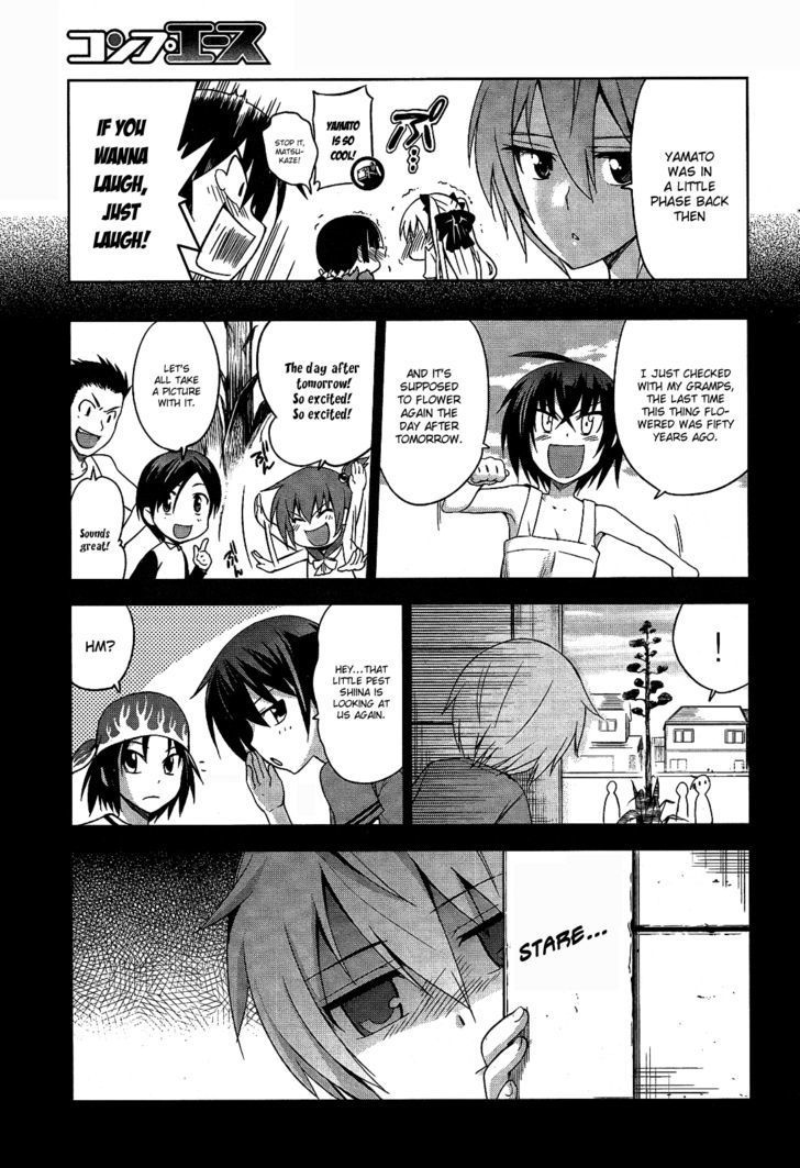 Maji de Watashi ni Koi Shinasai! Chapter 6 page 19 - Chapter 6 : Century Plant