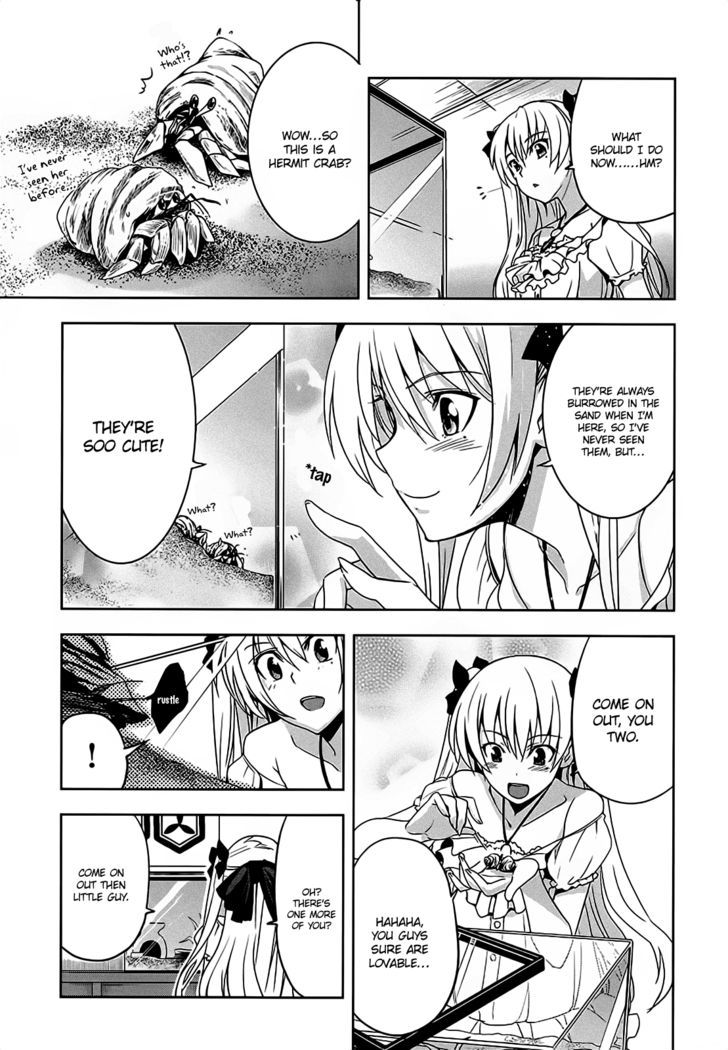 Maji de Watashi ni Koi Shinasai! Chapter 8 page 18 - Chapter 8 : Assassins and Hermit Crabs