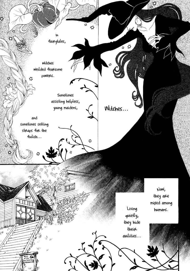 Majo no Biyaku Chapter 1 page 8 - Chapter 1