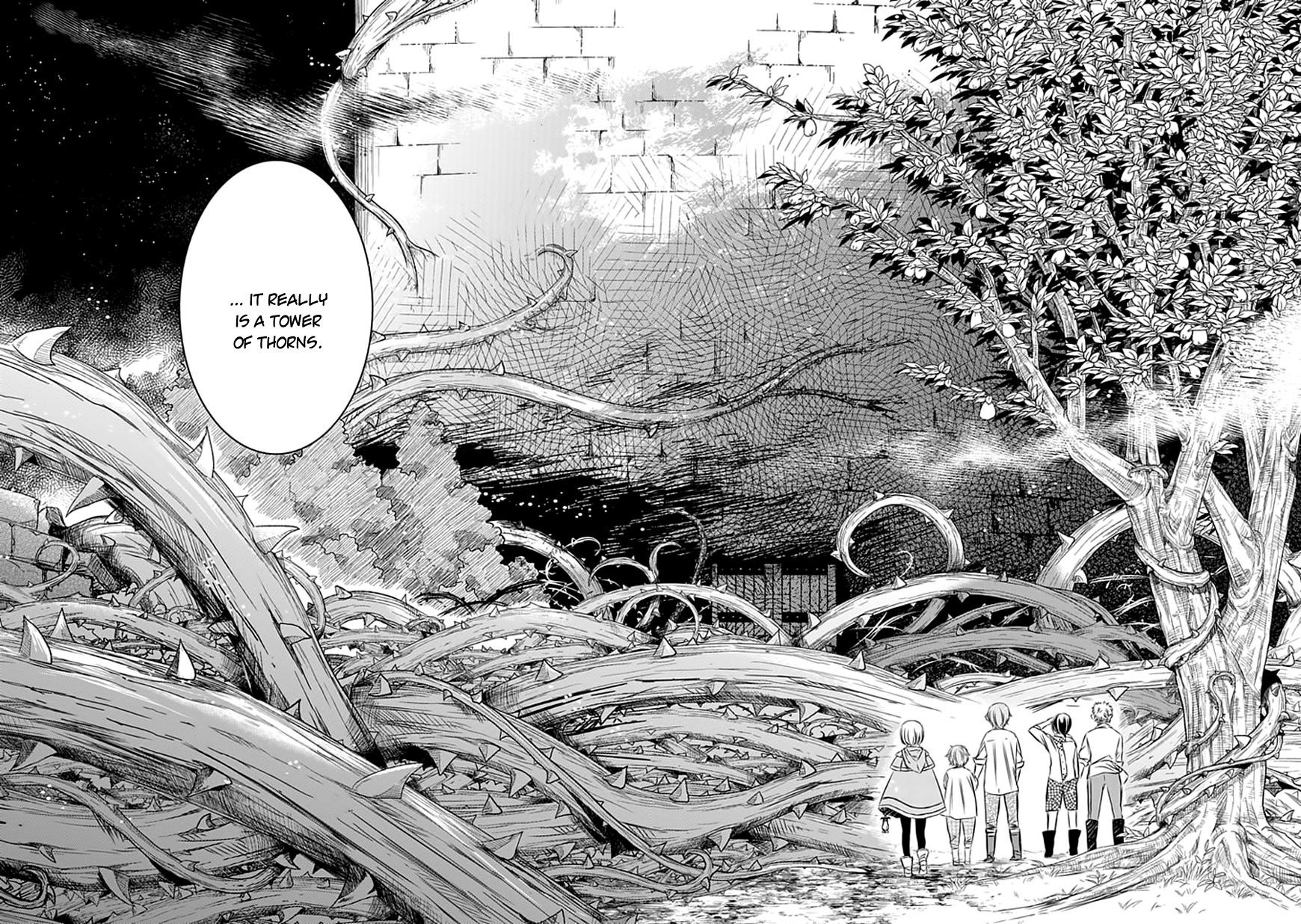 Majo no Shinzou Chapter 18 page 12 - Chapter 18 : The Mirror of Thorns (part 001)
