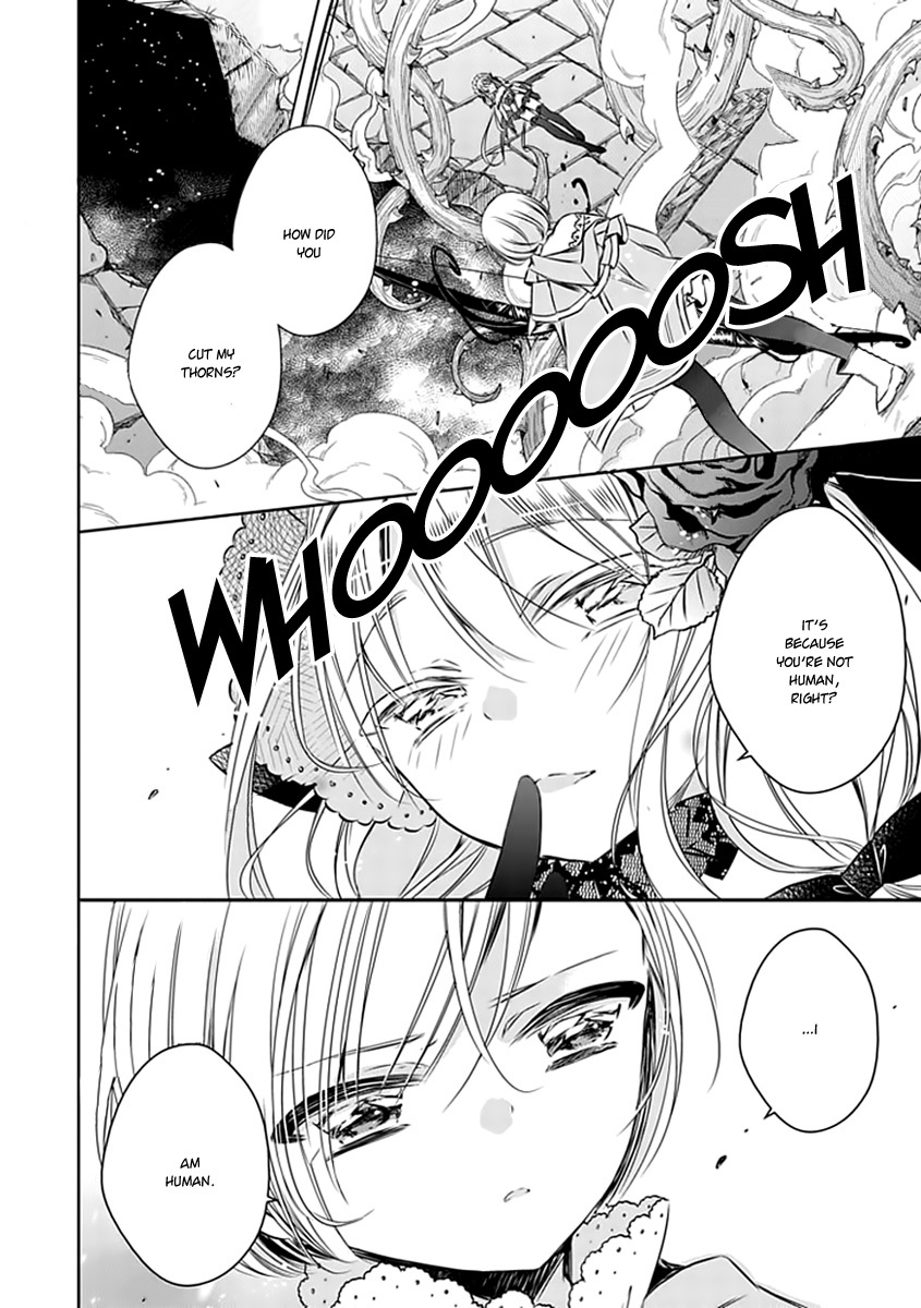 Majo no Shinzou Chapter 20 page 21 - Chapter 20 : The Mirror of Thorns (part 003)