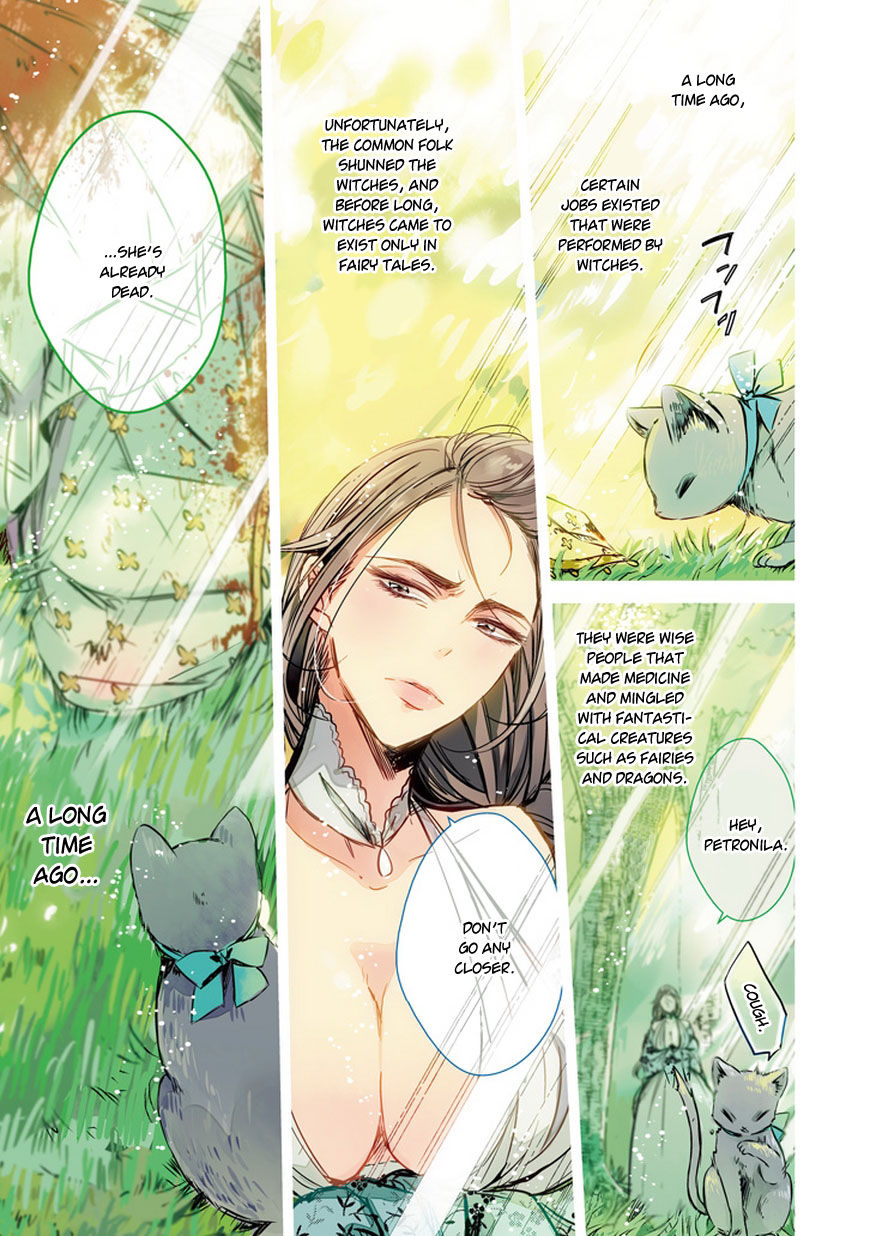 Majo no Shinzou Chapter 28 page 3 - Chapter 28 : The Tale of Master's Guidance