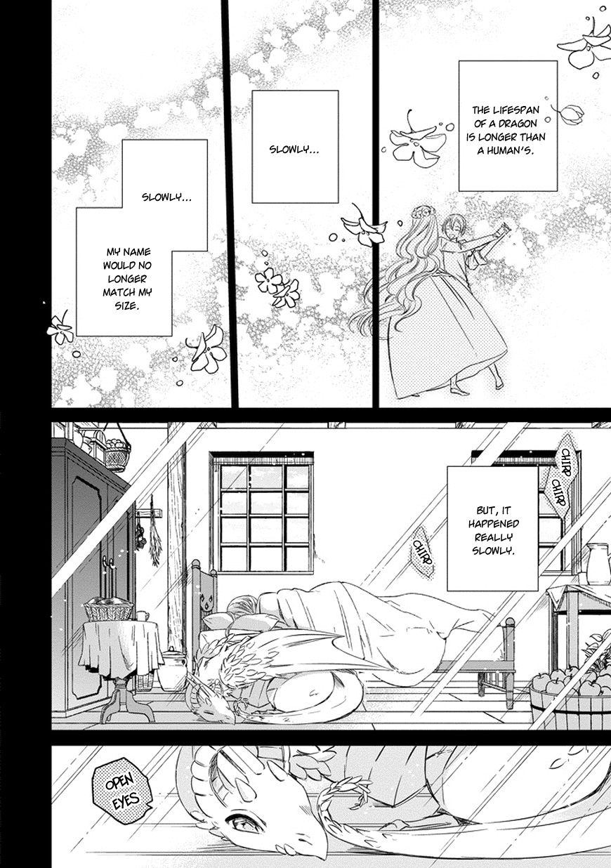 Majo no Shinzou Chapter 38 page 12 - Chapter 38 : The Dancing Dragonling