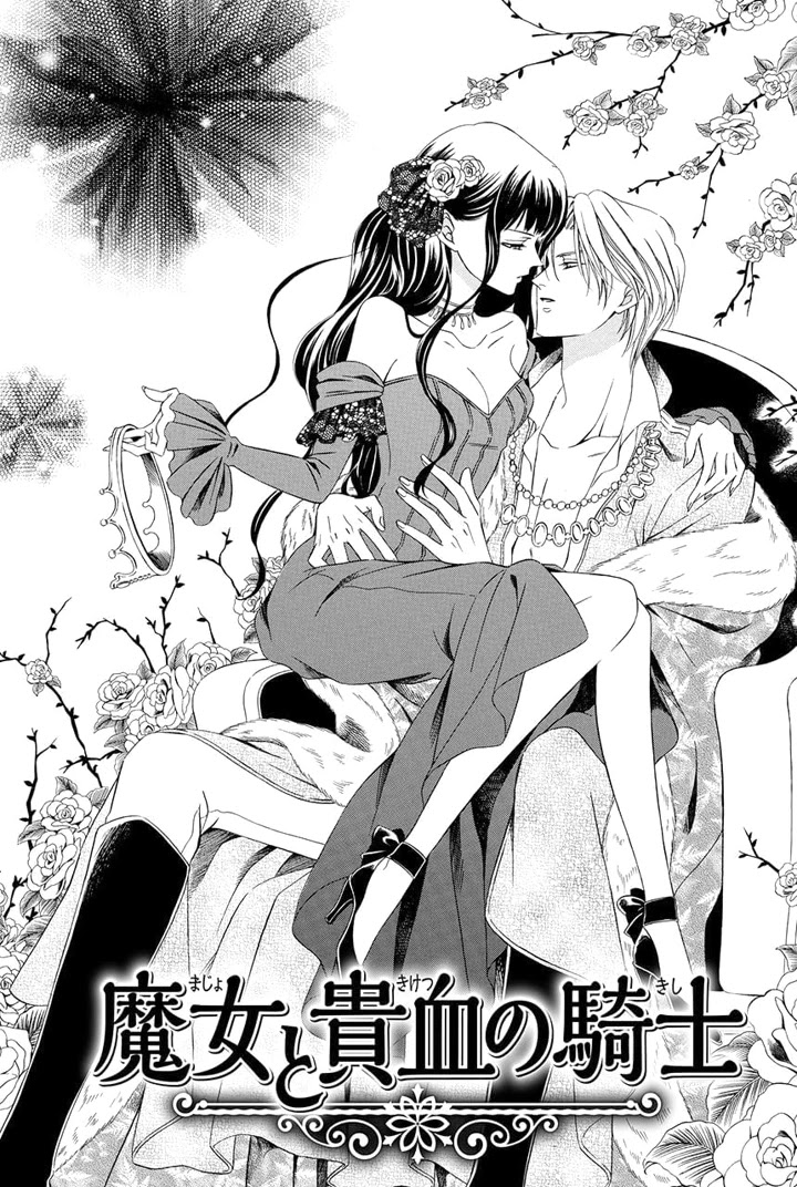 Majo to Kiketsu no Kishi Chapter 13 page 5 - Chapter 13