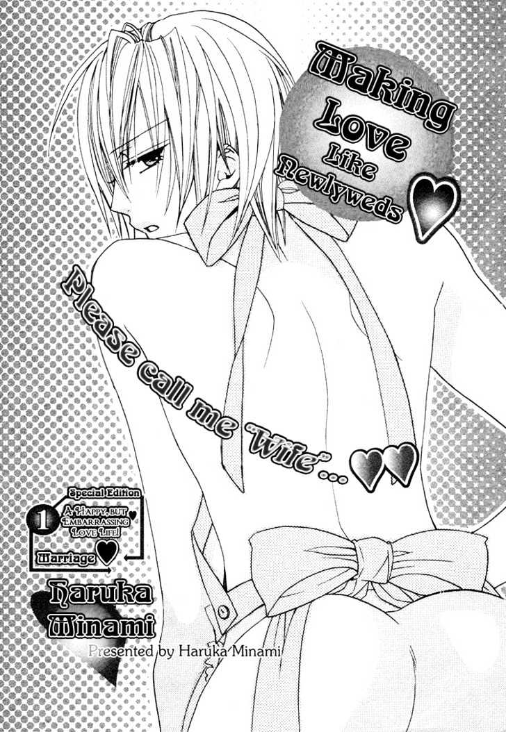 Making Love Like Newlyweds Chapter 0 page 4 - Chapter 0