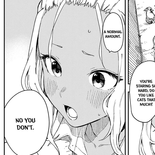 Mane Mane Nichi Nichi Chapter 13: Cat cover