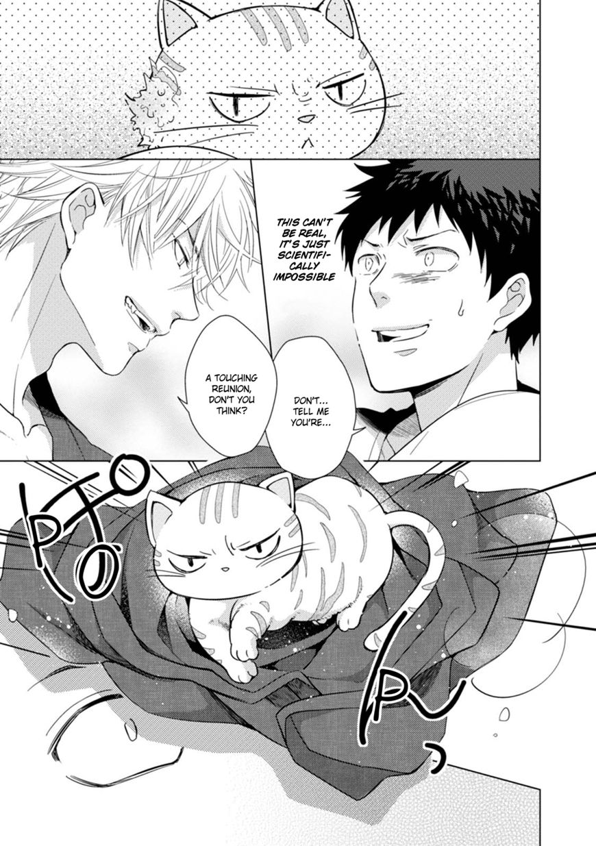 Maneki Neko Jinja no Tenteko Maina Hibi Chapter 1 page 31 - Chapter 1