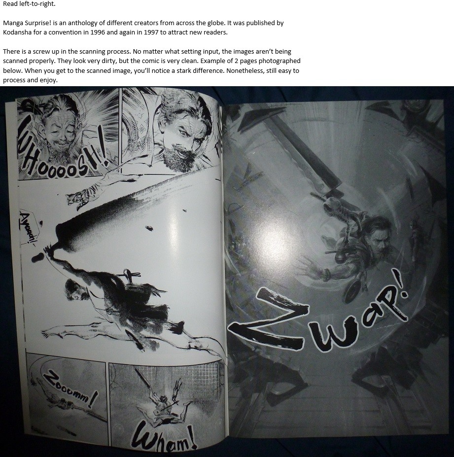 Manga Surprise! Chapter 1 page 2 - Chapter 1: Protector of the Railroad