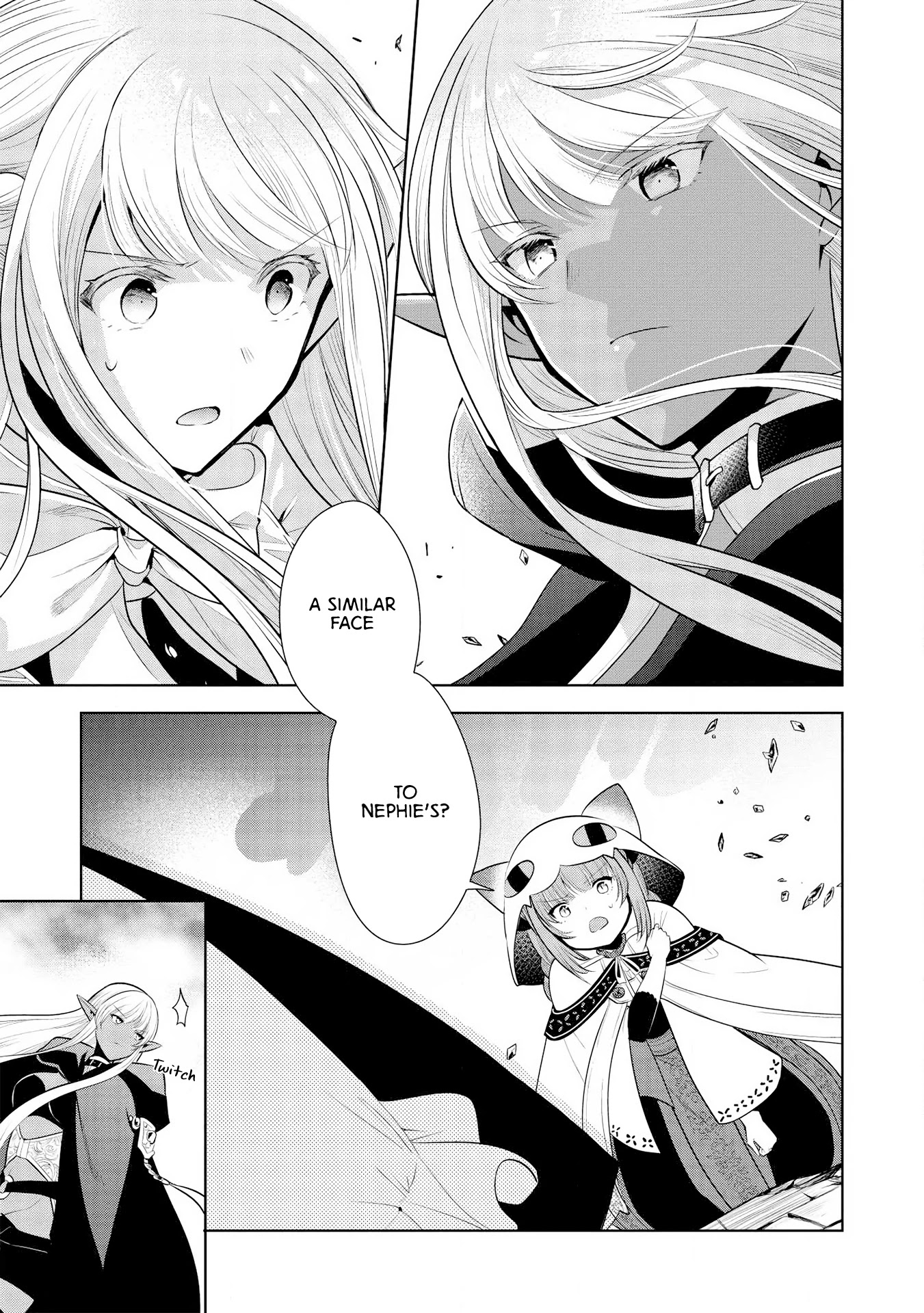 Maou no Ore ga Dorei Elf wo Yome ni Shitanda ga, Dou Medereba Ii? Chapter 25 page 14 - Chapter 25: I'll Get Angry Even if the One Who Raised Their Hand Against my Bride is a Beautiful Girl (1)