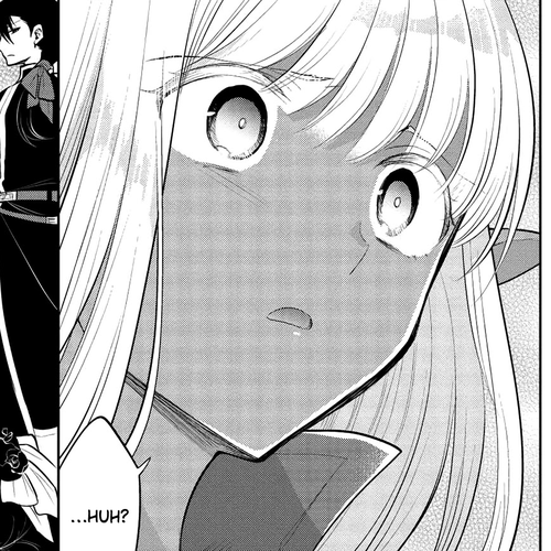 Maou no Ore ga Dorei Elf wo Yome ni Shitanda ga, Dou Medereba Ii? Chapter 35: Dancing Starlight (3) cover