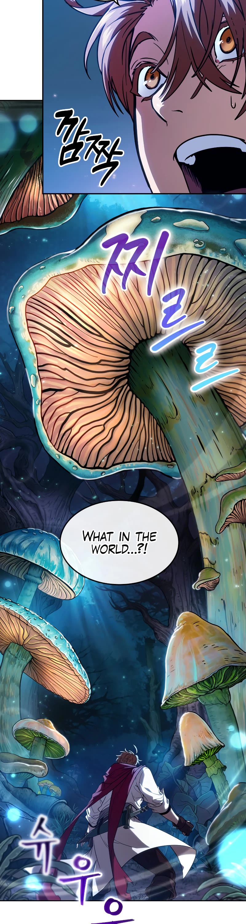 Maplestory: The Last Adventurer Chapter 0 page 27 - Chapter 0: Prologue