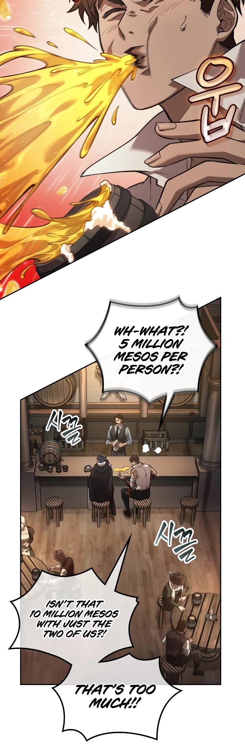 Maplestory: The Last Adventurer Chapter 12 page 11 - Chapter 12